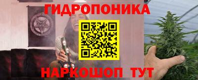 тгк Будённовск